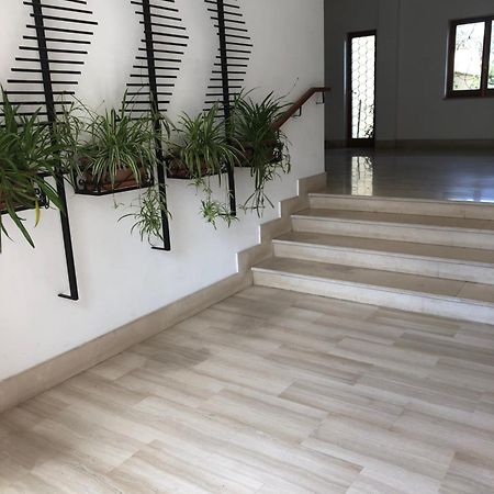 Appartamento Le Zagare Sorrento Bagian luar foto
